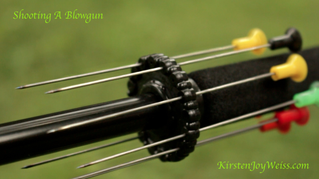 Blowgun spears Words