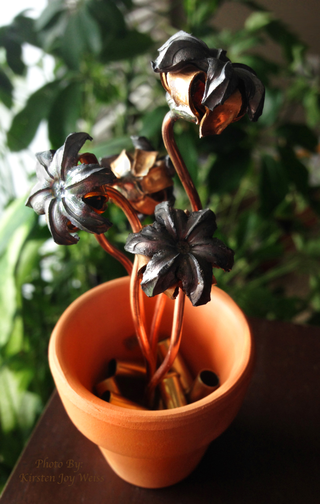 Bullet Bouquets Plants